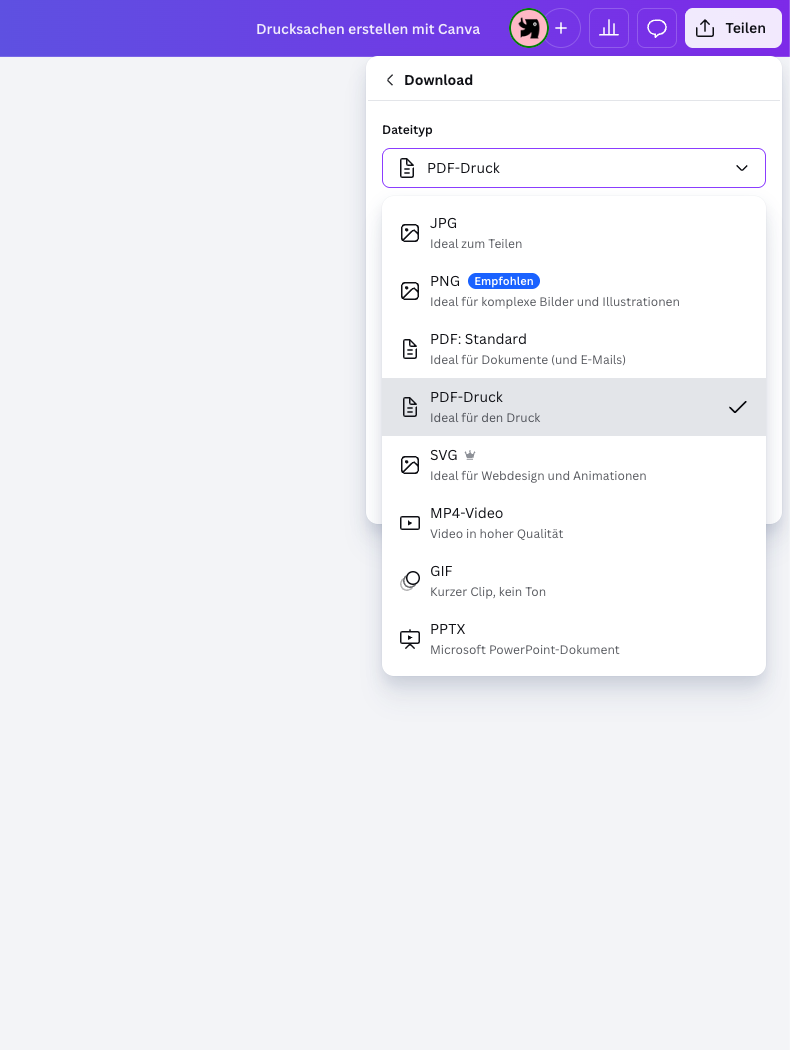Datei in Canva Pro speichern