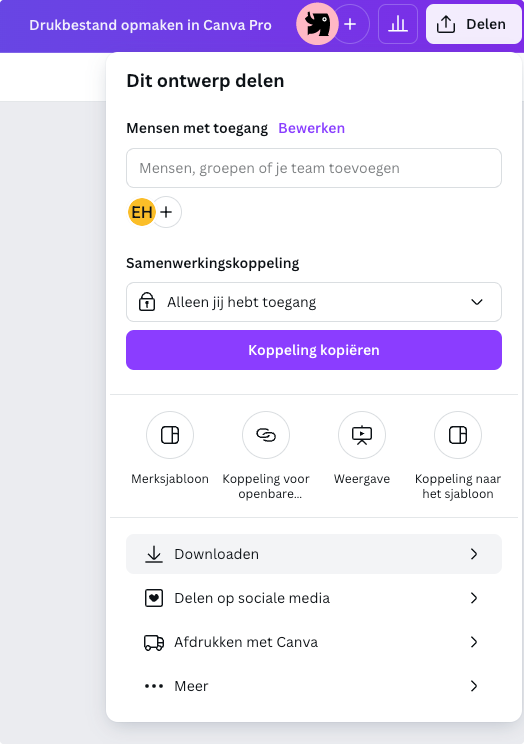 Datei in Canva Pro herunterladen