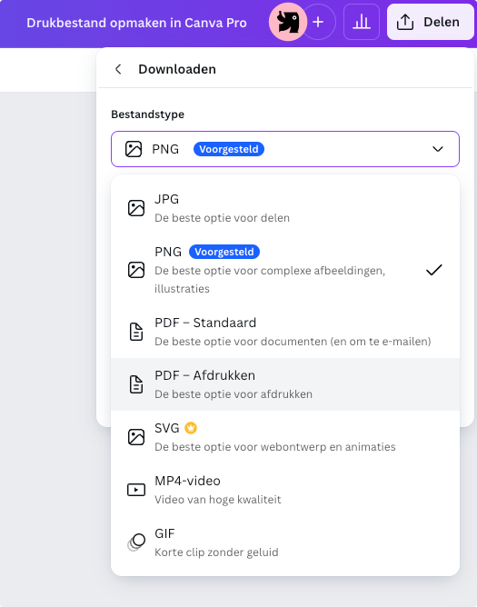 Datei in Canva Pro speichern