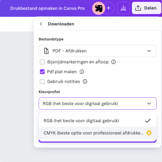 Datei in Canva Pro exportieren