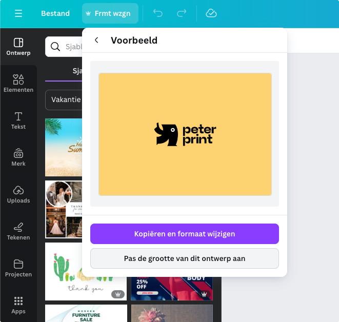 Format in Canva Pro speichern