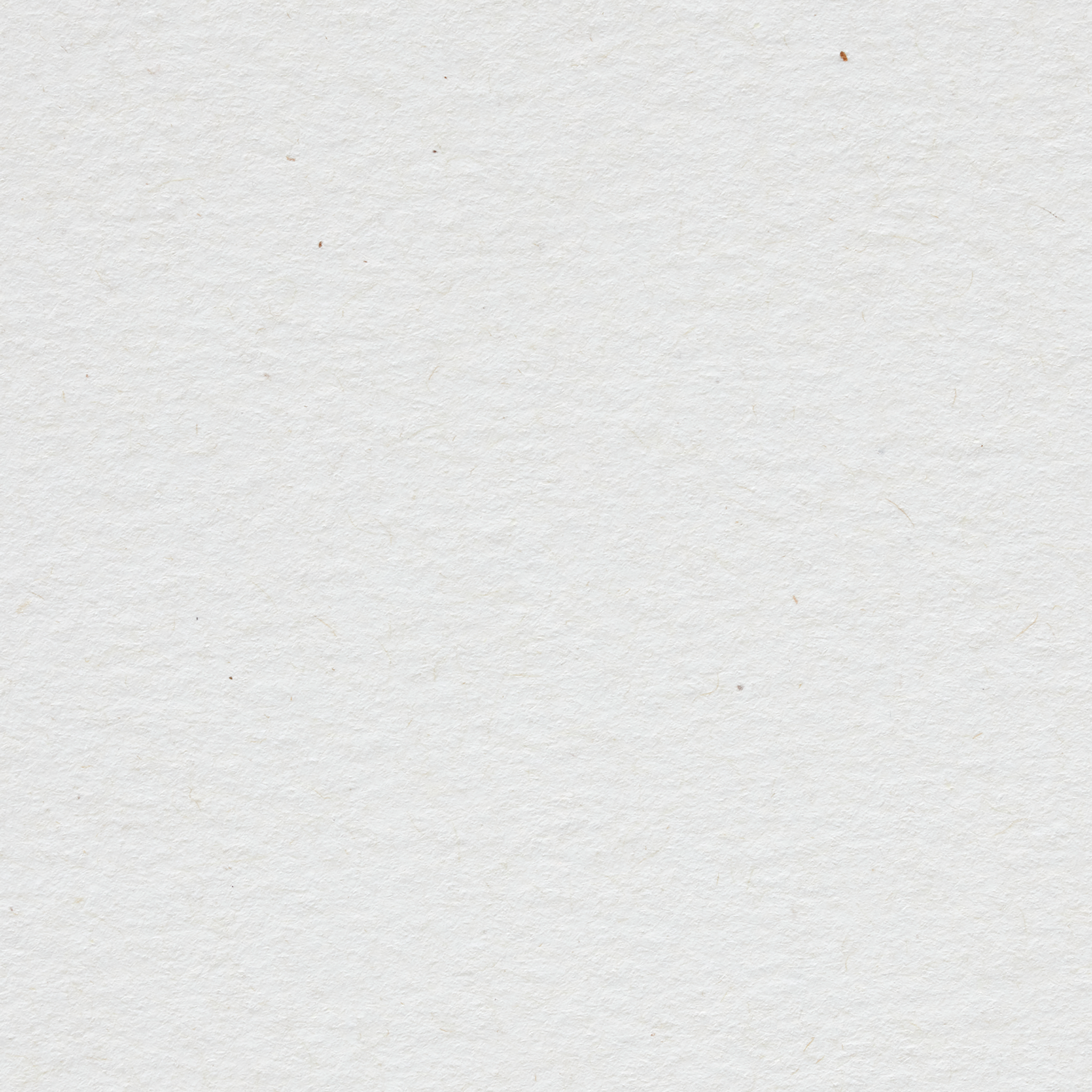 Freelife Kendo Papier