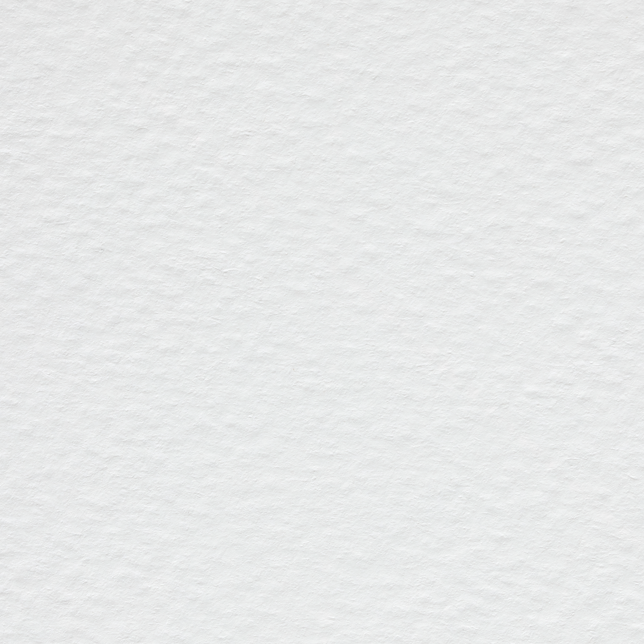 Tintoretto Gesso