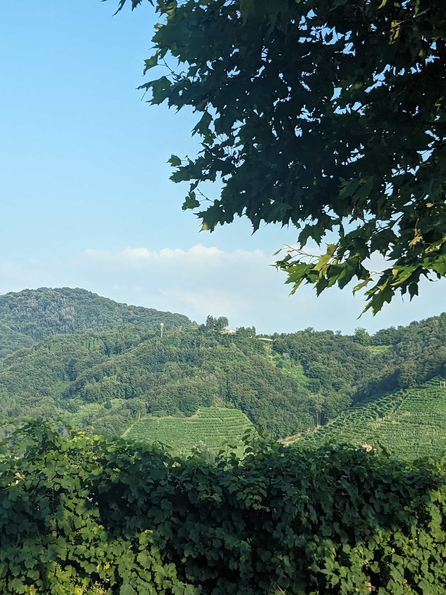 Groene bergen vakantiefoto